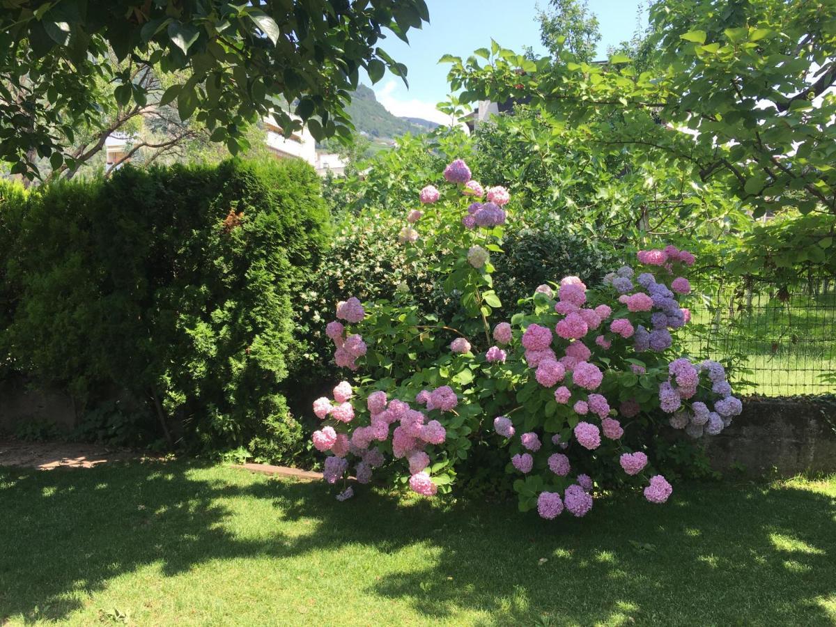 Apartment Villa Huber Bolzano Dış mekan fotoğraf