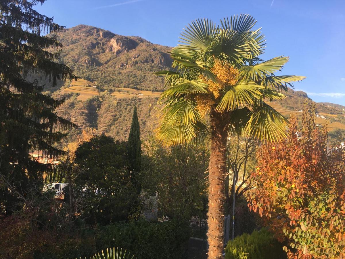 Apartment Villa Huber Bolzano Dış mekan fotoğraf
